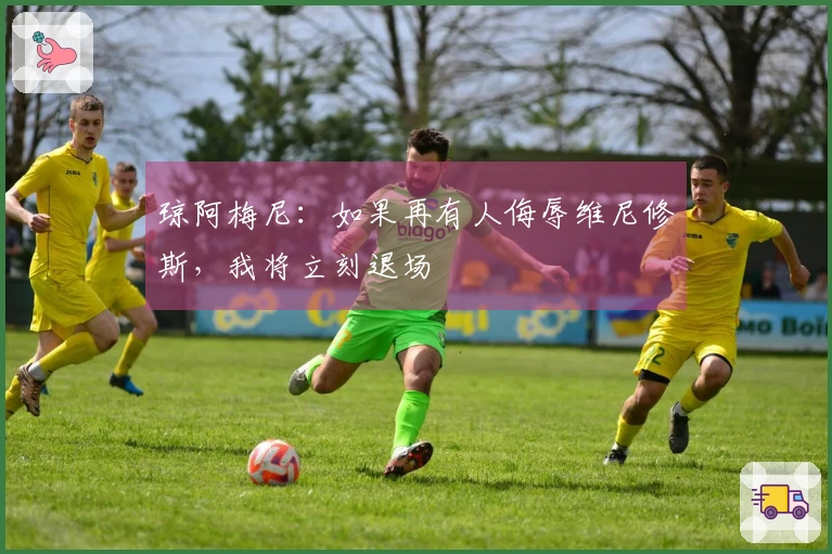 琼阿梅尼：如果再有人侮辱维尼修斯，我将立刻退场