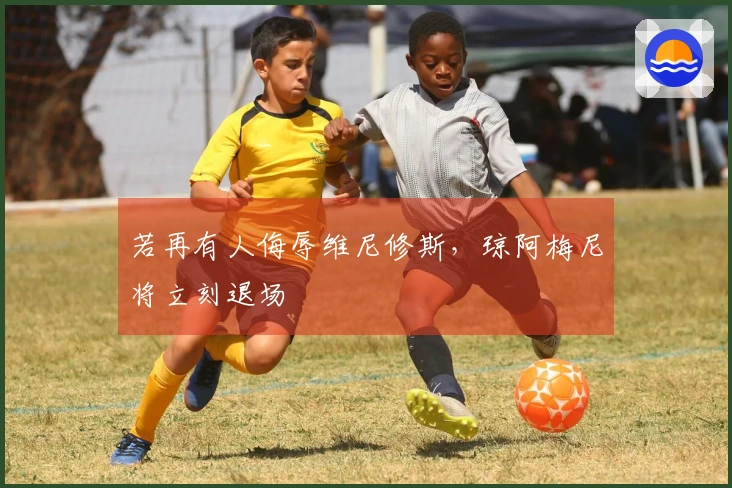 若再有人侮辱维尼修斯，琼阿梅尼将立刻退场