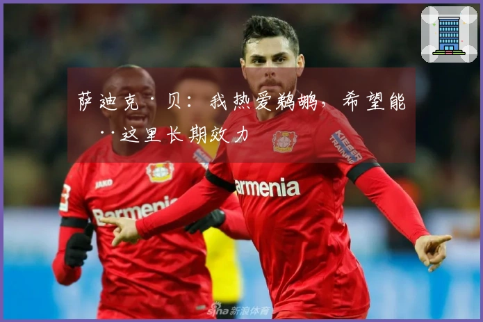 萨迪克·贝：我热爱鹈鹕，希望能在这里长期效力