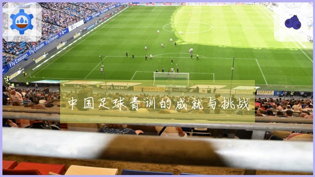 中国足球青训的成就与挑战